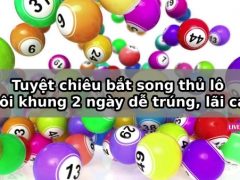 Kinh nghiệm nuôi lô theo khung 2 ngày